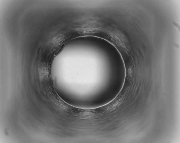 X0000099401300200805081525
