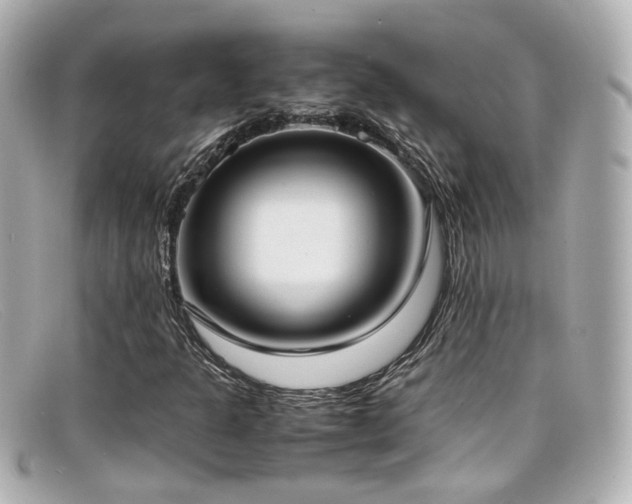 X0000099401301200805081525