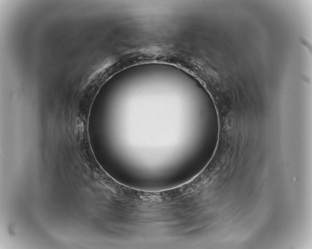 X0000099401302200805081525