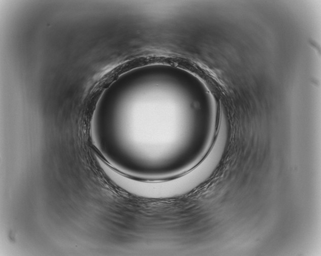 X0000099401303200805081525