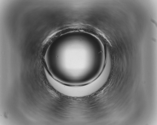 X0000099401304200805081525