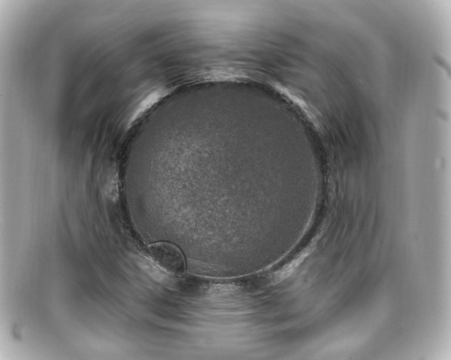 X0000099401306200805081525