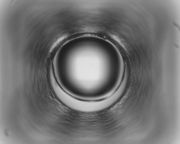 X0000099401307200805081525