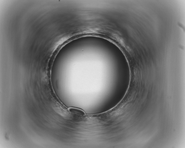 X0000099401308200805081525