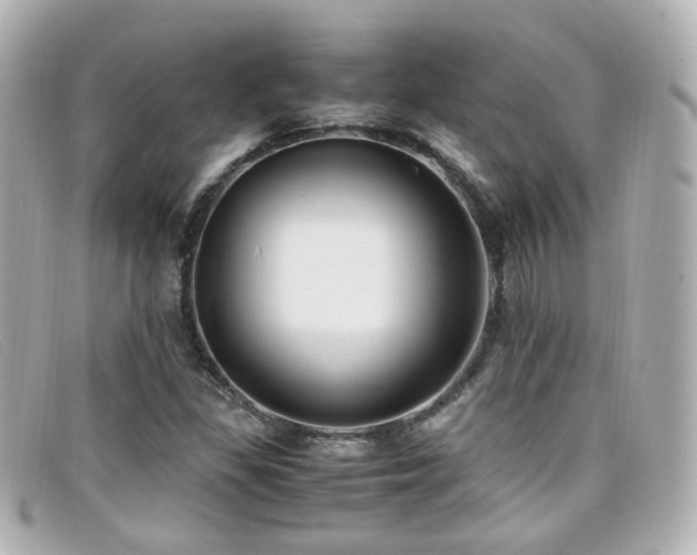 X0000099401309200805081525