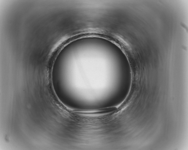 X0000099401310200805081525