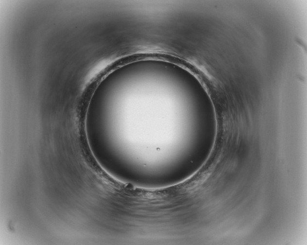X0000099401311200805081525