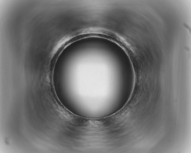 X0000099401312200805081525