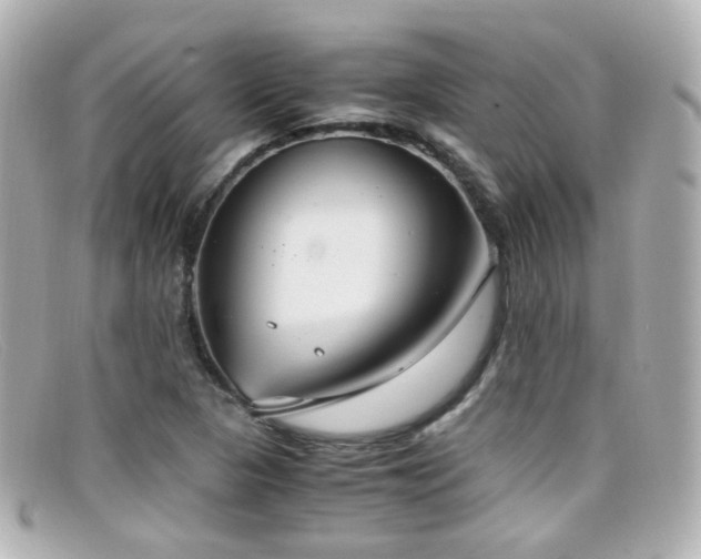 X0000099401313200805081525
