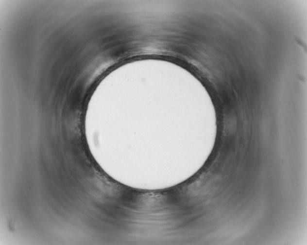 X0000099401314200805081525