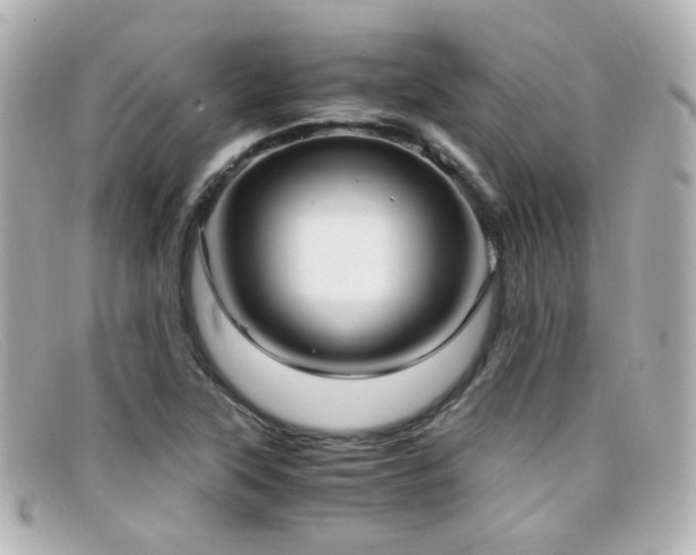 X0000099401315200805081525