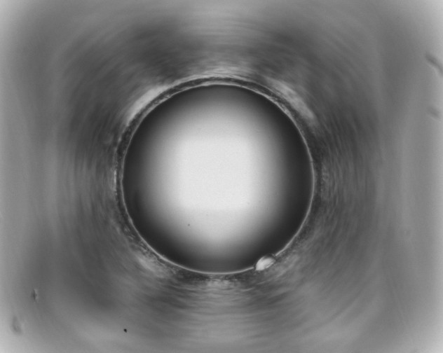 X0000099401316200805081525