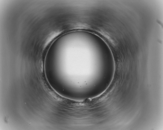 X0000099401317200805081525