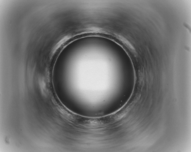 X0000099401318200805081525