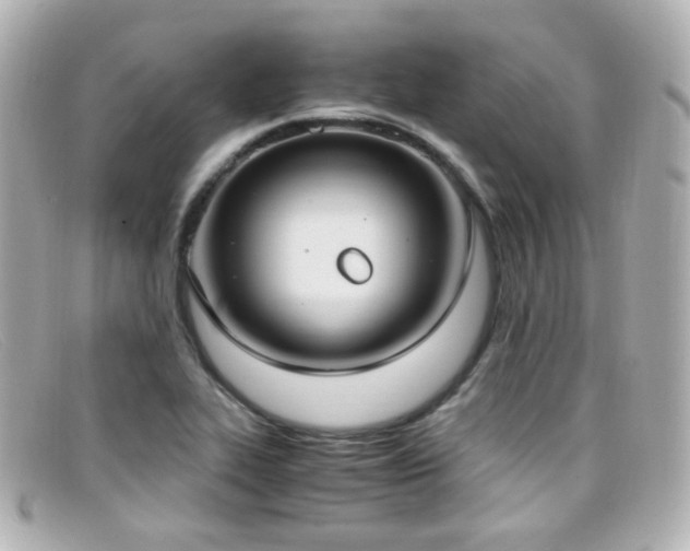 X0000099401319200805081525