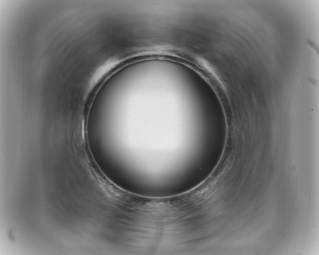 X0000099401320200805081525