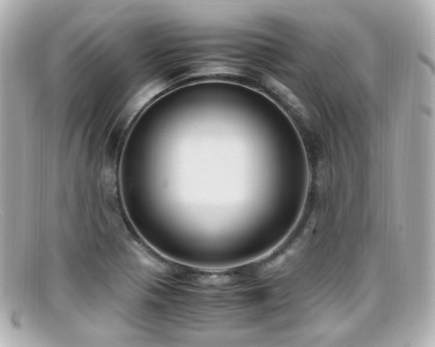 X0000099401321200805081525