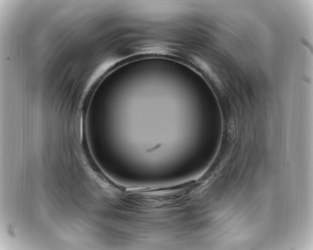 X0000099401323200805081525