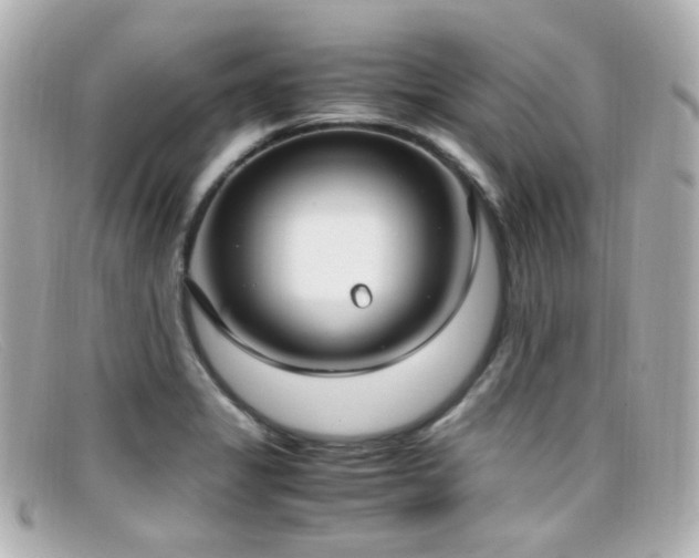 X0000099401325200805081525