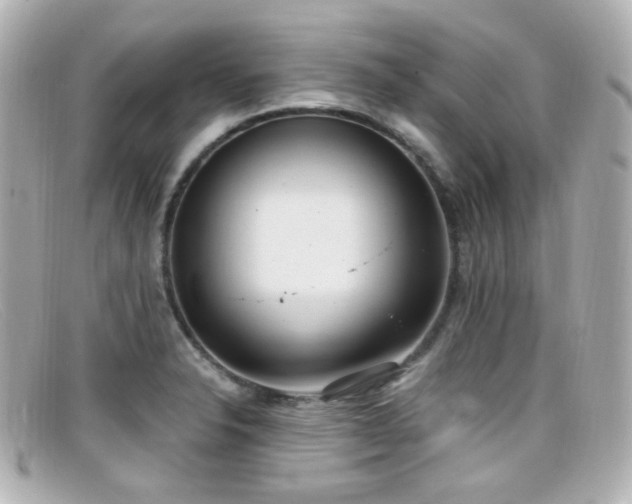 X0000099401326200805081525