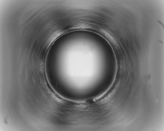 X0000099401329200805081525