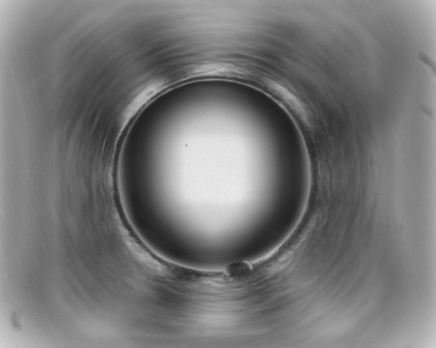X0000099401330200805081525