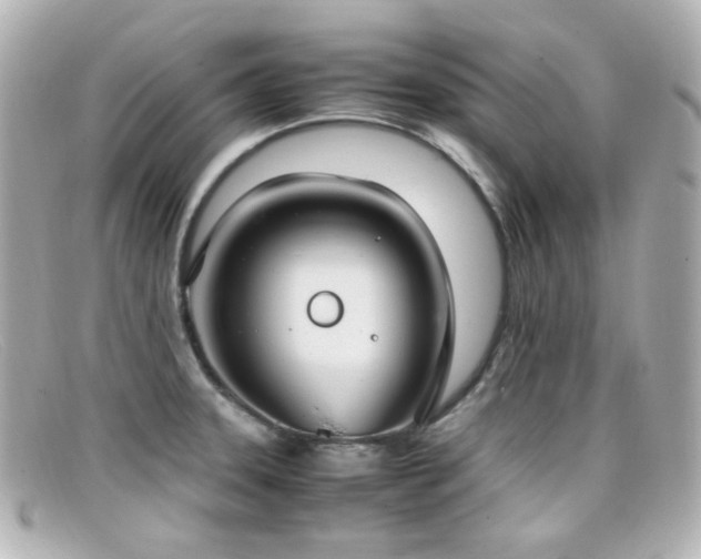 X0000099401331200805081525