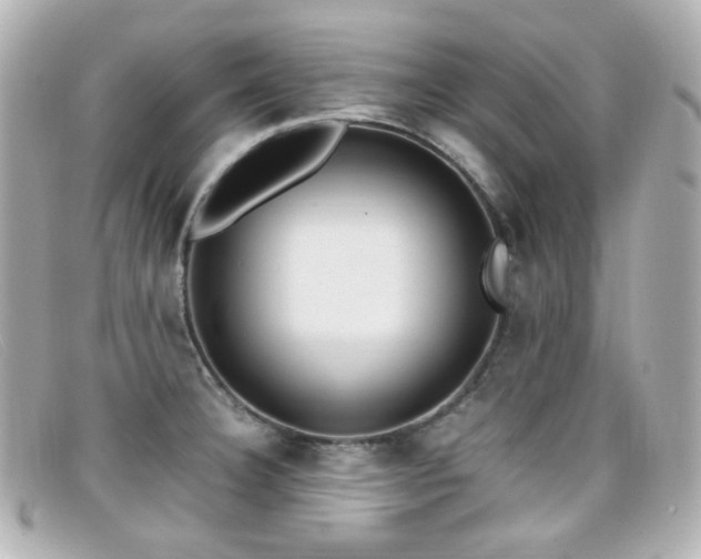X0000099401332200805081525