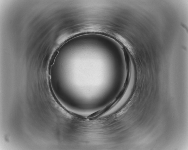 X0000099401334200805081525