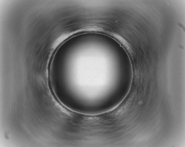 X0000099401335200805081525