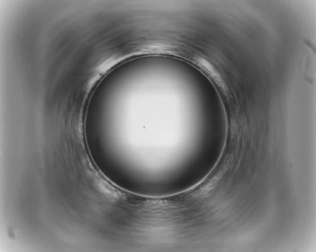 X0000099401336200805081525