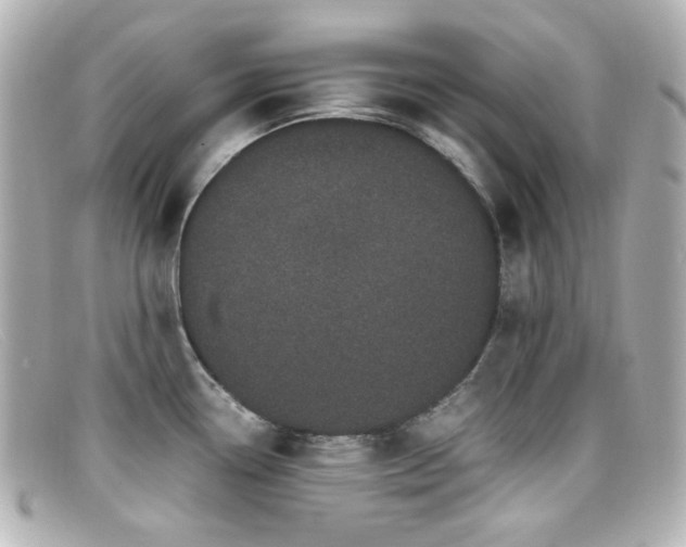 X0000099401338200805081525