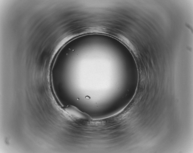 X0000099401339200805081525