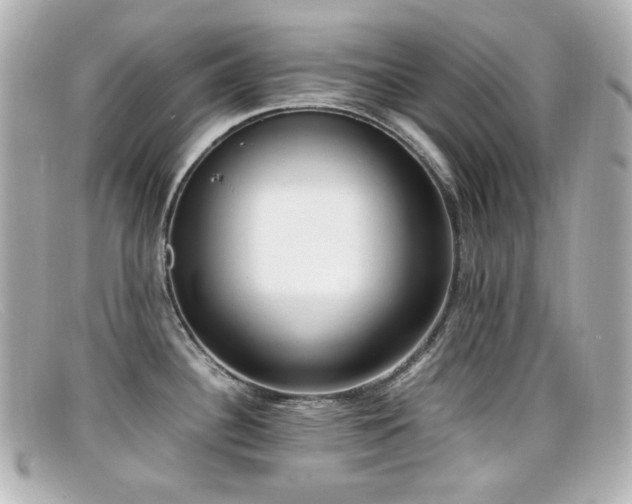X0000099401340200805081525