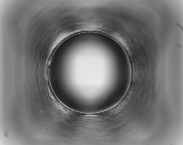 X0000099401342200805081525