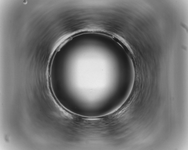 X0000099401343200805081525