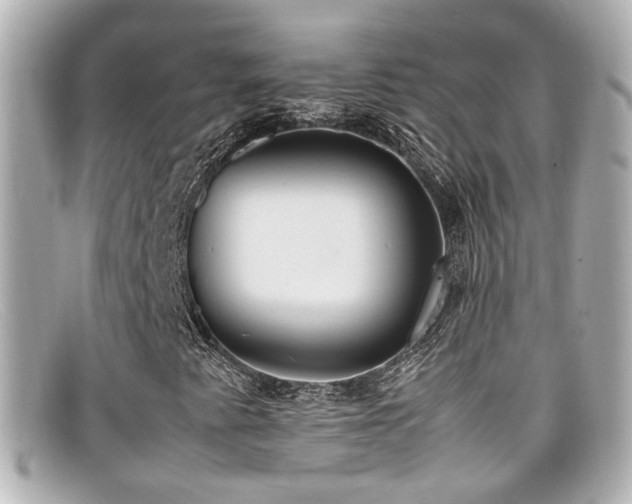 X0000099401345200805081525