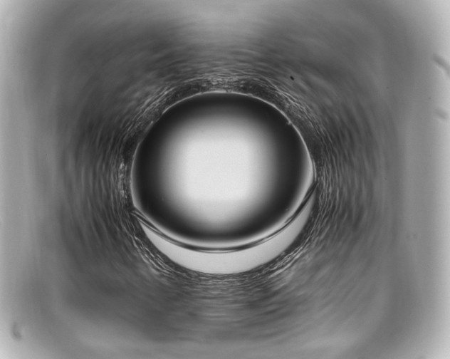 X0000099401346200805081525