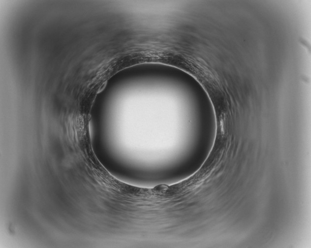 X0000099401347200805081525