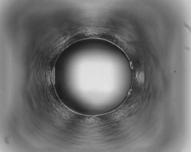 X0000099401348200805081525
