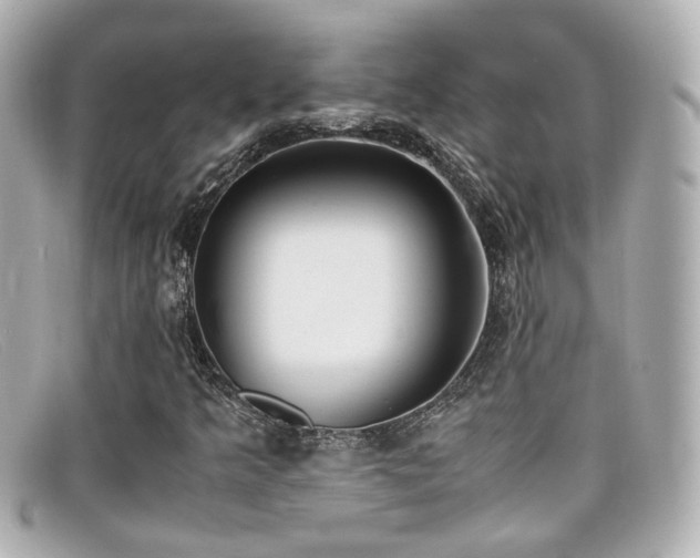X0000099401349200805081525