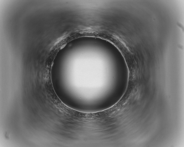 X0000099401350200805081525