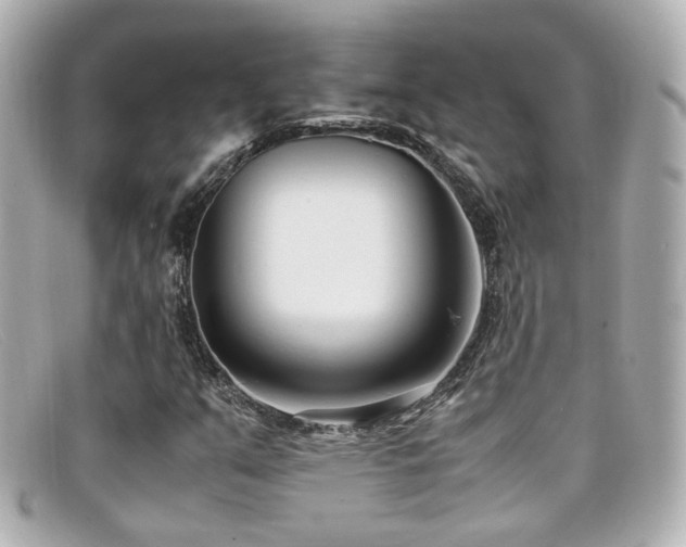 X0000099401351200805081525