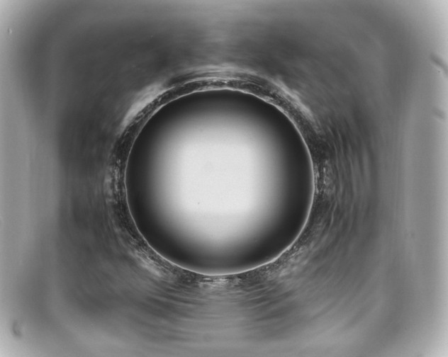 X0000099401352200805081525