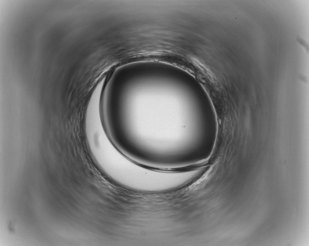 X0000099401353200805081524
