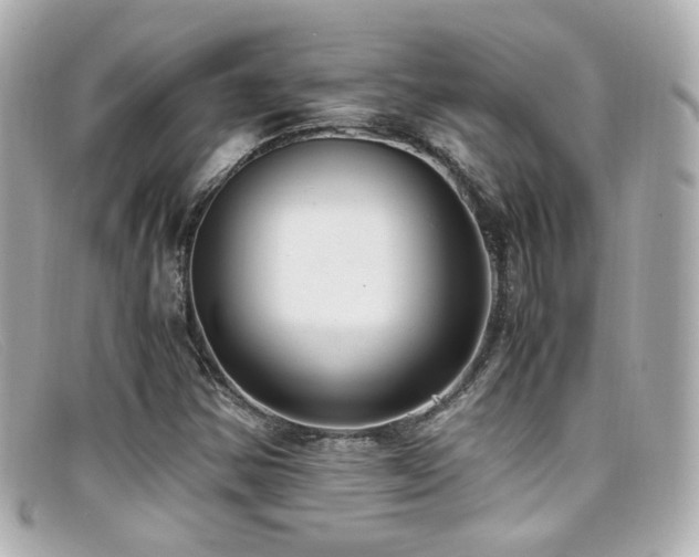 X0000099401354200805081524