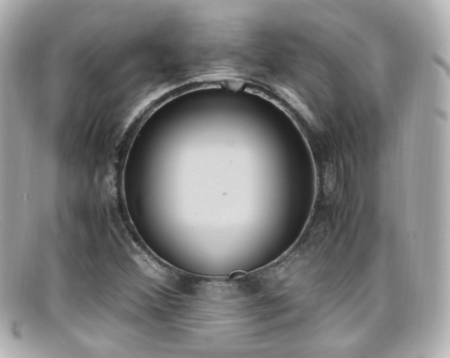 X0000099401356200805081524