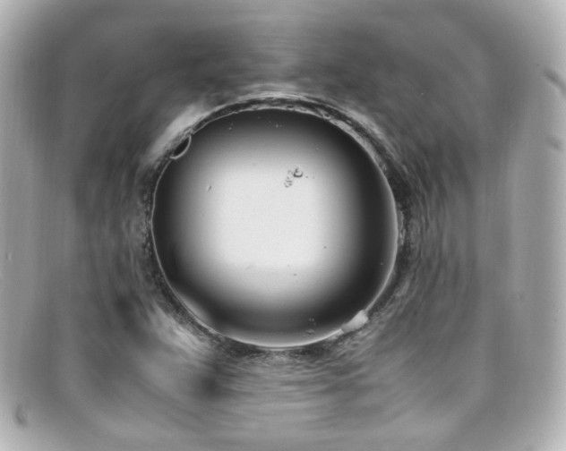 X0000099401359200805081524
