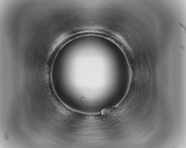 X0000099401360200805081524