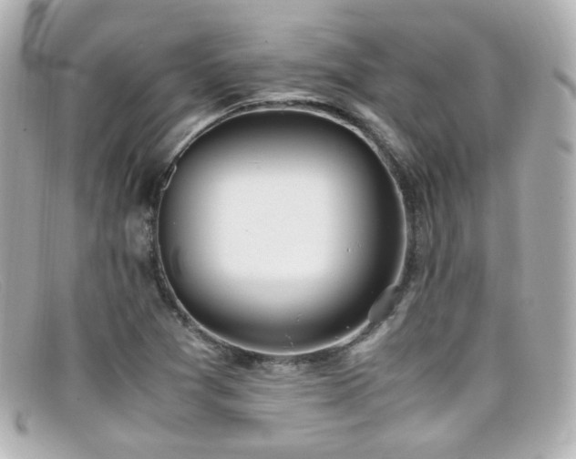 X0000099401361200805081524
